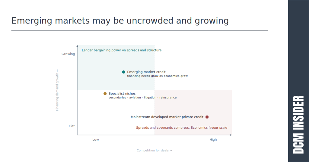Emerging markets may be uncrowded and growing